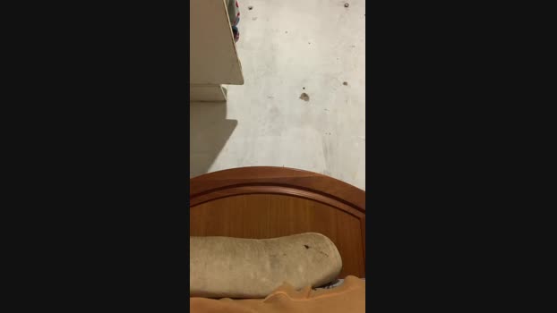 Vitor600255 16-10-2024 Recorded Video cute