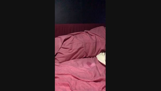 luffi88 16-10-2024 Recorded Video jackoff