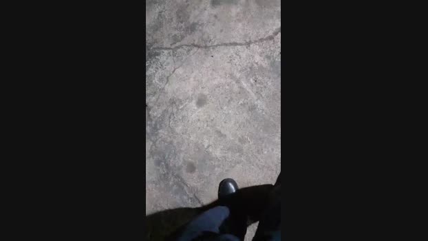 vigia7 16-10-2024 Recorded Video bigload