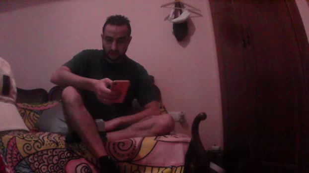 Dogtrainingay 16-10-2024 Recorded Video nasty