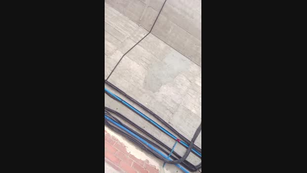 Seloloko 17-10-2024 Recorded Video lush