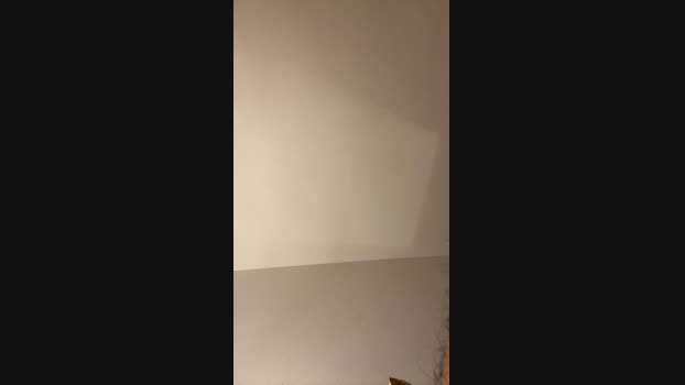 bmr789 17-10-2024 Recorded Video Ass
