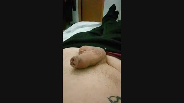 Porkispig 17-10-2024 Recorded Video ass