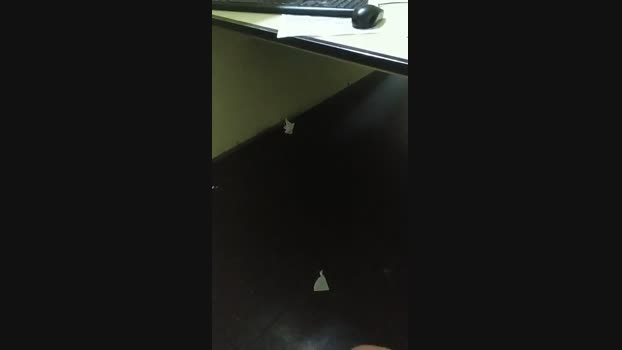 gabriel4575 17-10-2024 Recorded Video Cam