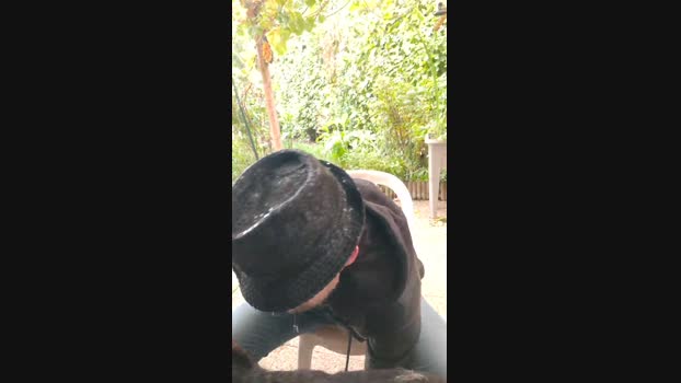 tomsauwer 18-10-2024 Recorded Video legs