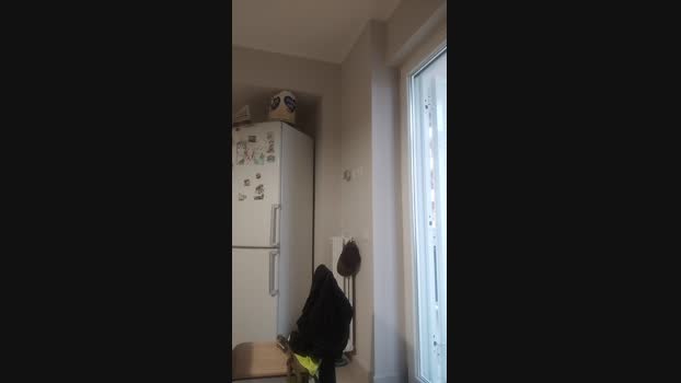 salvat21 19-10-2024 Recorded Video sweet
