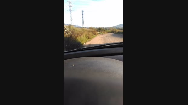 Arturito 20-10-2024 Recorded Video analtoy