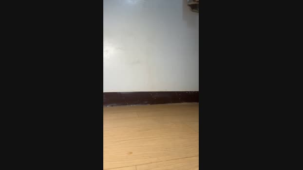 Lofan1069 20-10-2024 Recorded Video ass