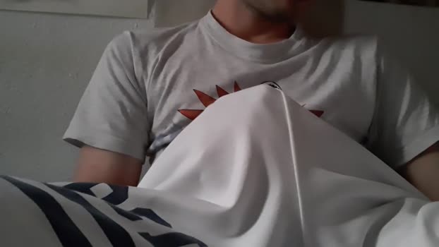 Pollon797