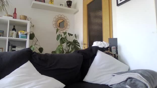 bigcockjohnxxx 20-10-2024 Recorded Video bigballs