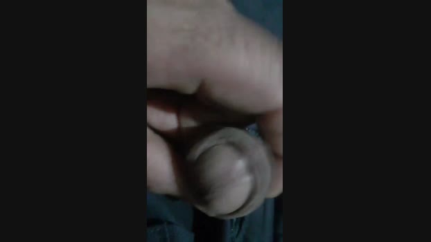 vigia7 20-10-2024 Recorded Video bigballs