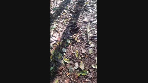 Outdoorgeil1 21-10-2024 Recorded Video hardcore