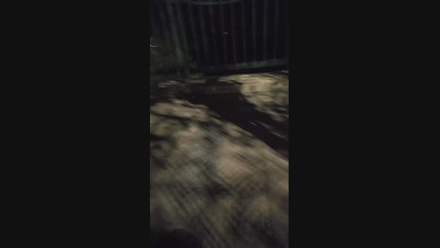 pollen_07 20-10-2024 Recorded Video deep