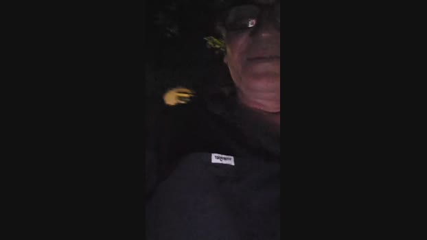 pollen_07 20-10-2024 Recorded Video toy