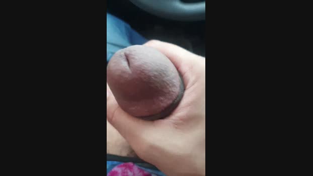 DotadoszUber 21-10-2024 Recorded Video Video