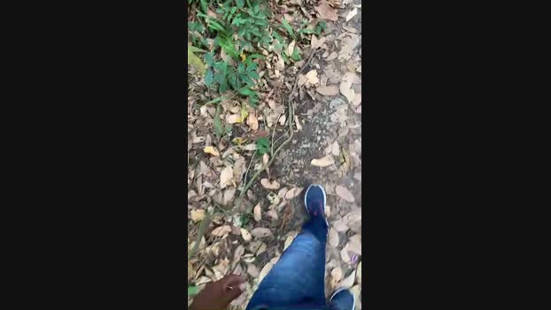 Nado1santos 21-10-2024 Recorded Video gag