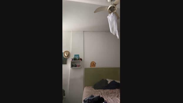 felipemagalhaes 21-10-2024 Recorded Video fuckass