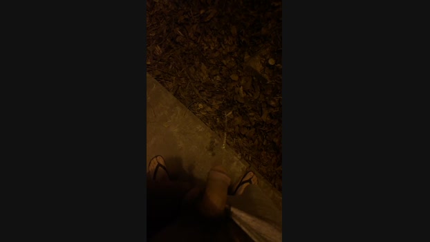 Foxfoxfox 23-10-2024 Recorded Video Ass