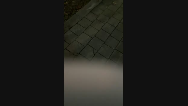 Foxfoxfox 23-10-2024 Recorded Video hardcore