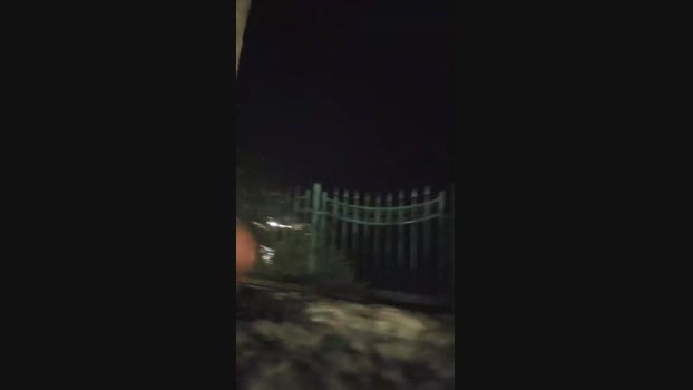 pollen_07 22-10-2024 Recorded Video fuckher