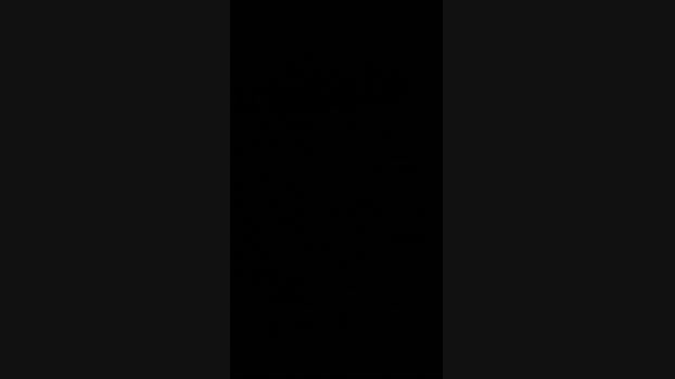 vigia7 24-10-2024 Recorded Video oral