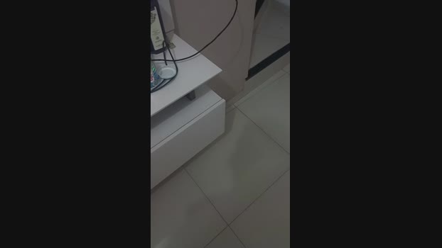BadboySS1 25-10-2024 Recorded Video ass
