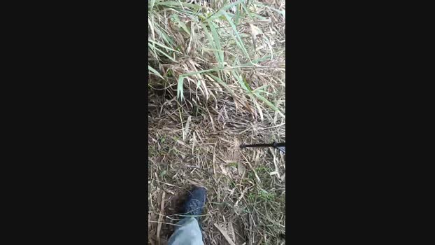 Rafael3693 25-10-2024 Recorded Video play