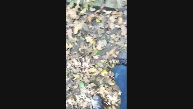 uzun 25-10-2024 Recorded Video fingers