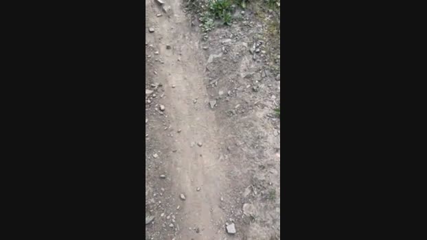 ver20cm2 24-10-2024 Recorded Video Pretty