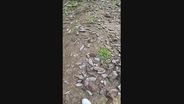 ver20cm2 24-10-2024 Recorded Video Cam