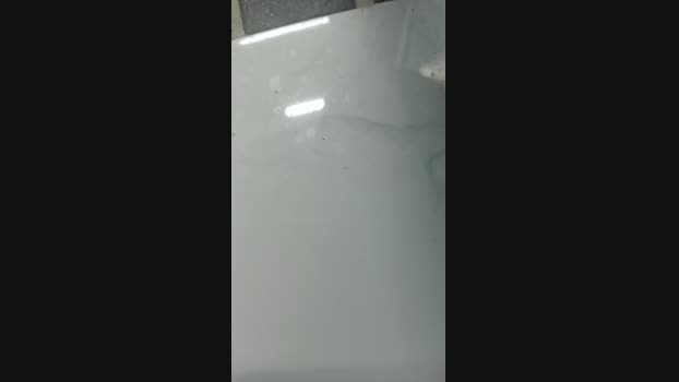 wildrushedge 24-10-2024 Recorded Video oral