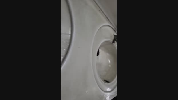 Psojpsoj 25-10-2024 Recorded Video beautiful