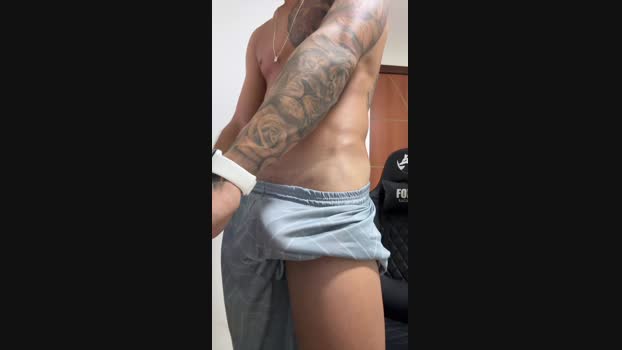 gato_dtado 27-10-2024 Recorded Video Video