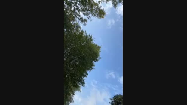 Edward_venezia 28-10-2024 Recorded Video big