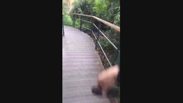 Nachohot18 27-10-2024 Recorded Video jerkoff