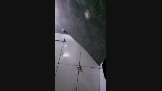 ReiGato01 28-10-2024 Recorded Video kink