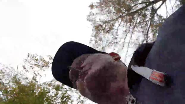 axelblows 28-10-2024 Recorded Video analtoy