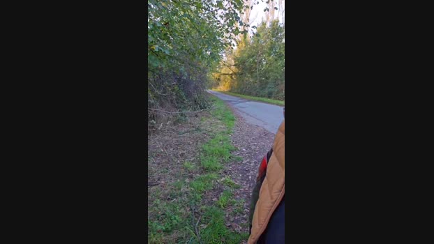 Dad4271 28-10-2024 Recorded Video Cam