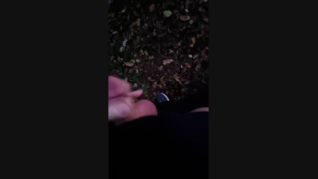 Outdoorgeil1 28-10-2024 Recorded Video Pretty