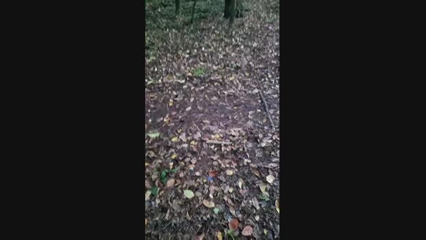 Outdoorgeil1 28-10-2024 Recorded Video Download
