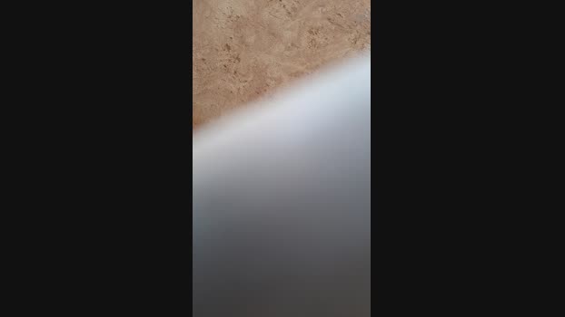 Ribeirosiebes 28-10-2024 Recorded Video Recorded