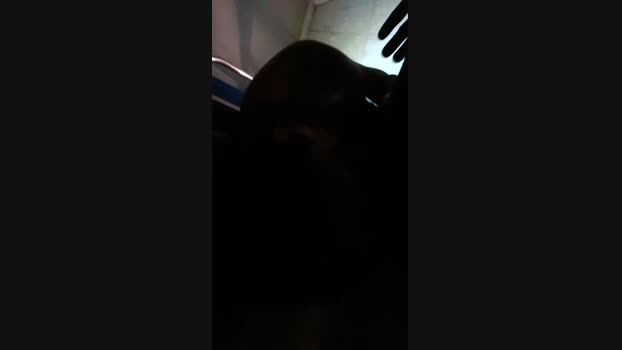 casal969 29-10-2024 Recorded Video fuckme
