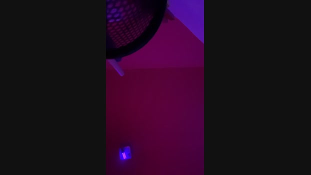 lorenzzo_x 29-10-2024 Recorded Video fuckass