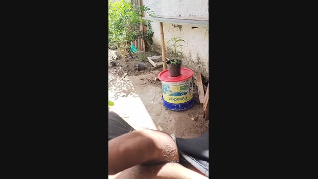 lucas5344 29-10-2024 Recorded Video play