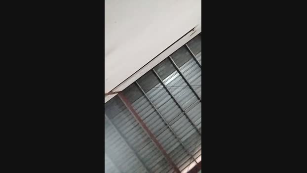 ariel12341 30-10-2024 Recorded Video fingers
