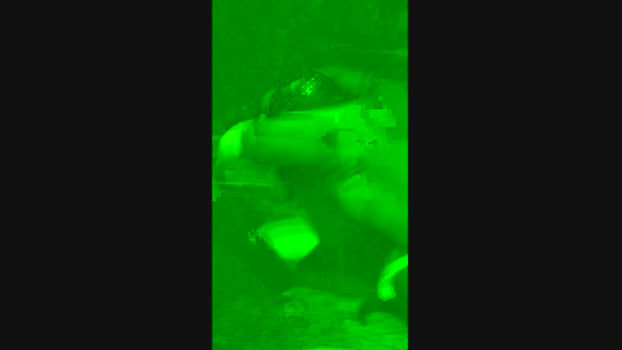 legal19 30-10-2024 Recorded Video jerking