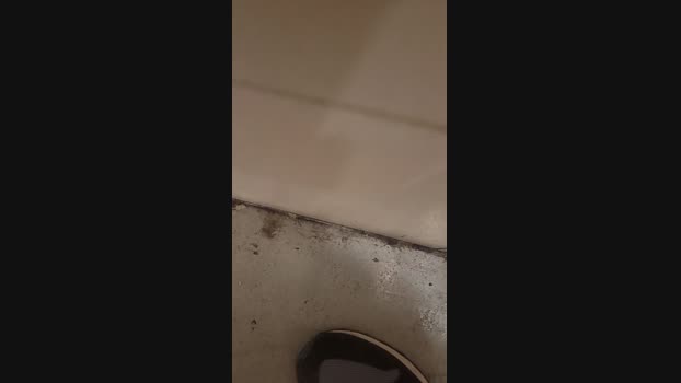 Psojpsoj 31-10-2024 Recorded Video beauty
