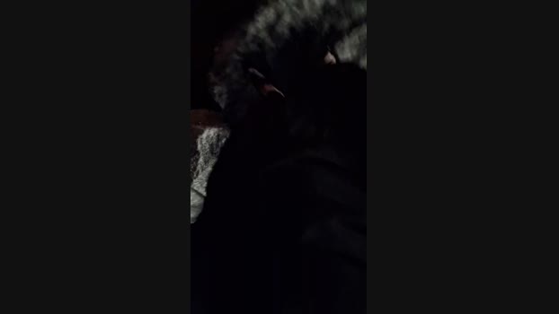 Vanluiz28 30-10-2024 Recorded Video beauty