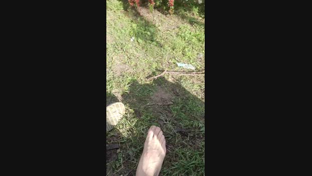 anto1869 31-10-2024 Recorded Video strip