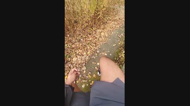 bulgingarmy 30-10-2024 Recorded Video beauty